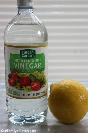 How to Make Organic Fruit and Vegetable Wash and Spray ...