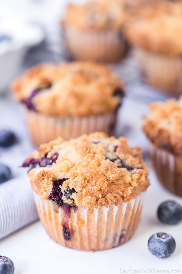 Streusel Topped Blueberry Muffins