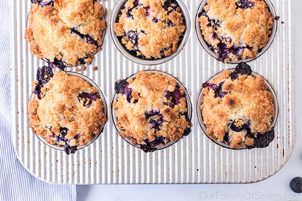 Fresh baked blueberry dessert muffins