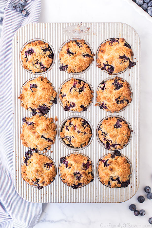 Muffins with blueberries in a pan